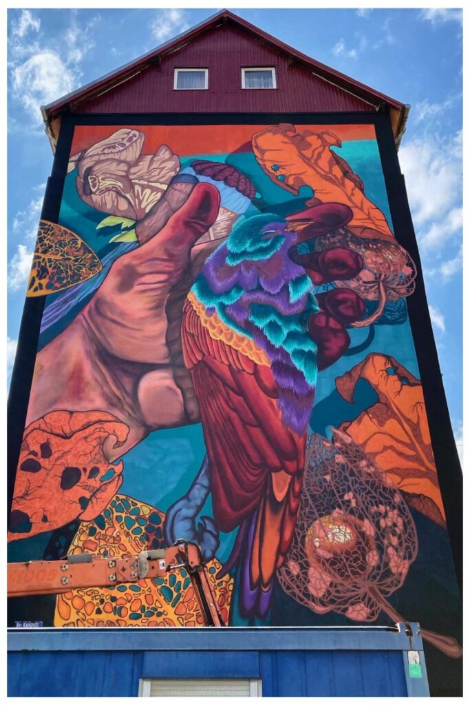 GRATEFUL DEAD